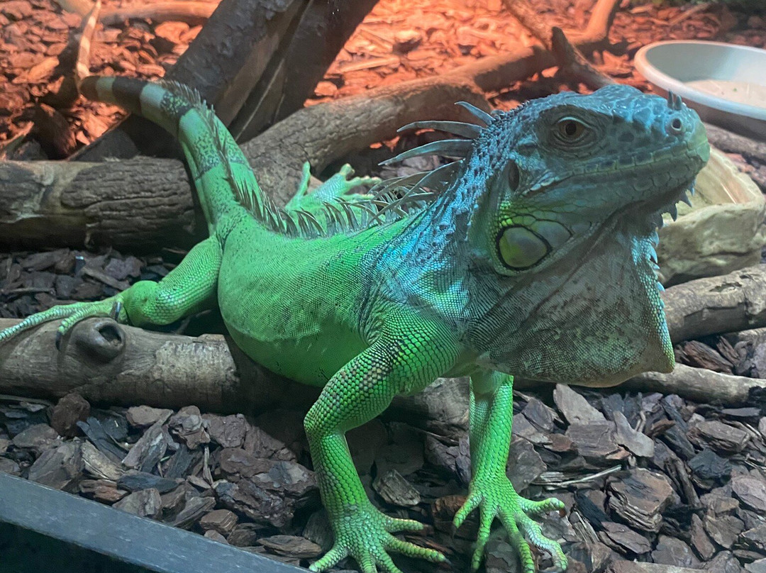 Riga Zoo-里加必去景点