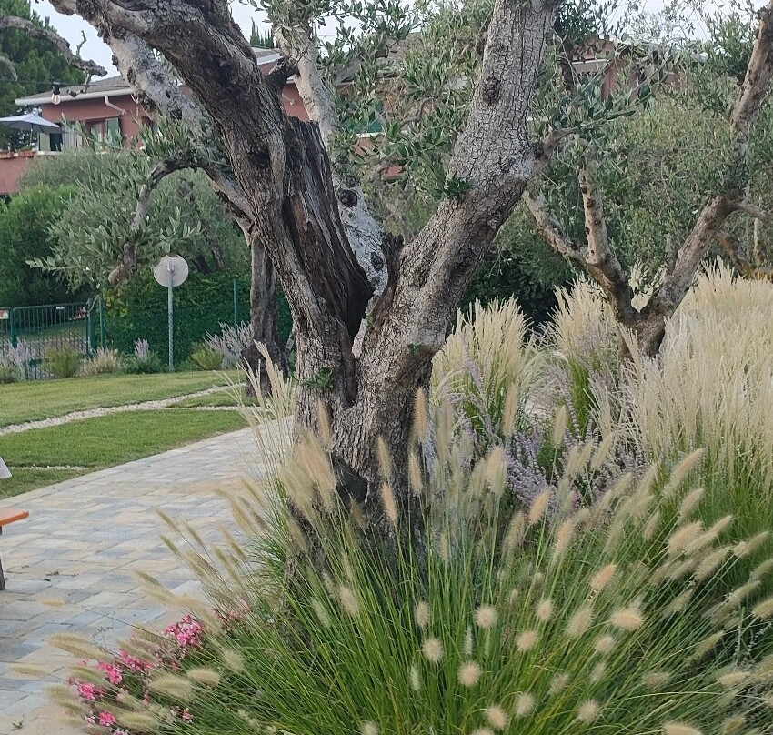 Cantina Casetto-Cisano必去景点