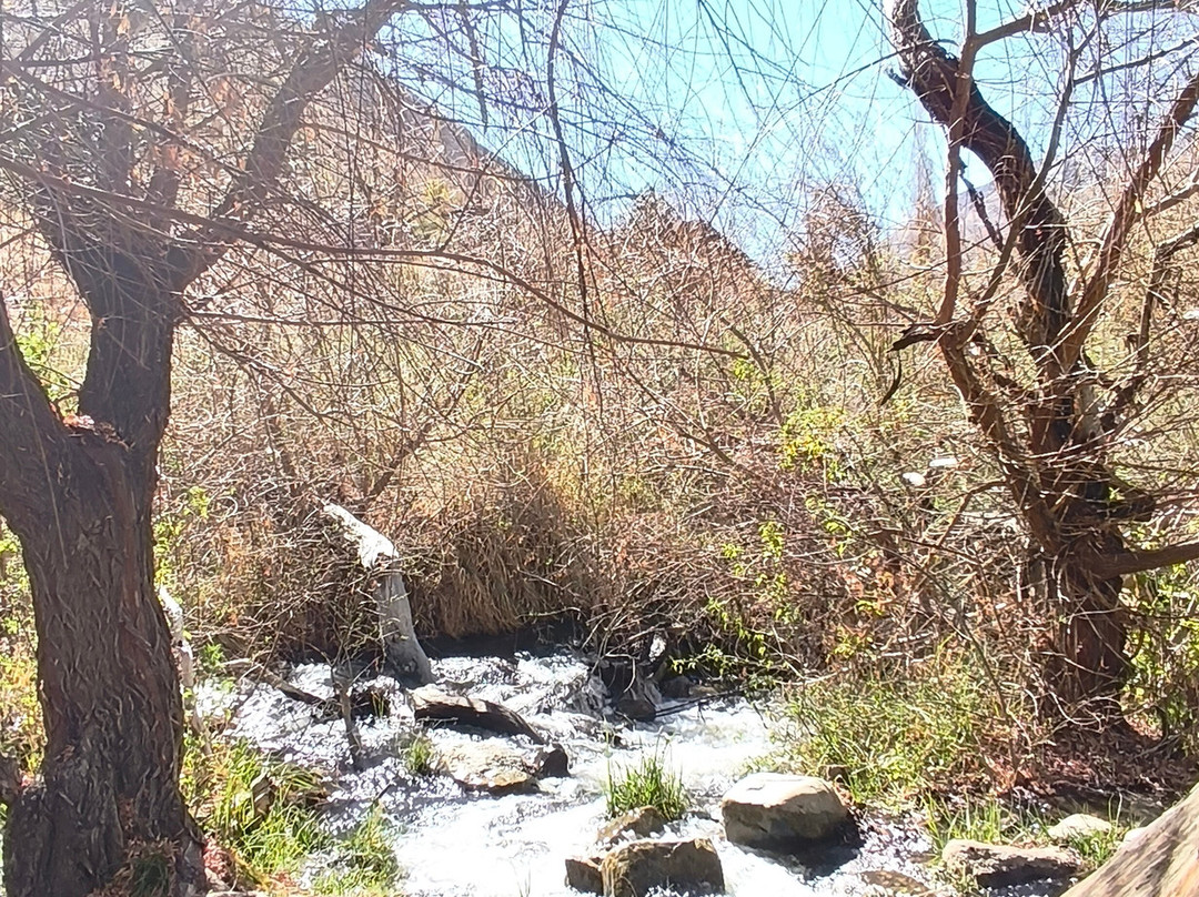 Pueblo Artesanal de Horcon-Pisco Elqui必去景点