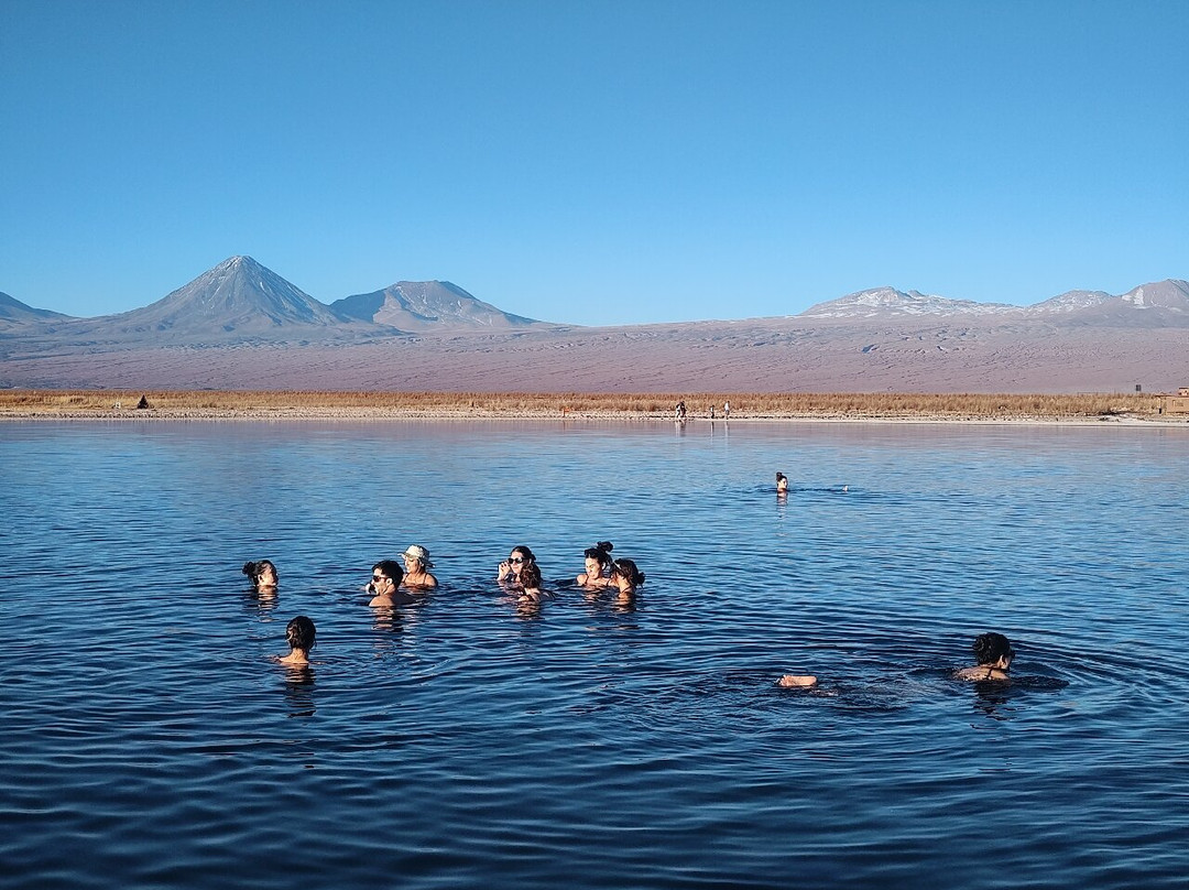 Laguna Cejar-圣佩德罗-德阿塔卡马必去景点