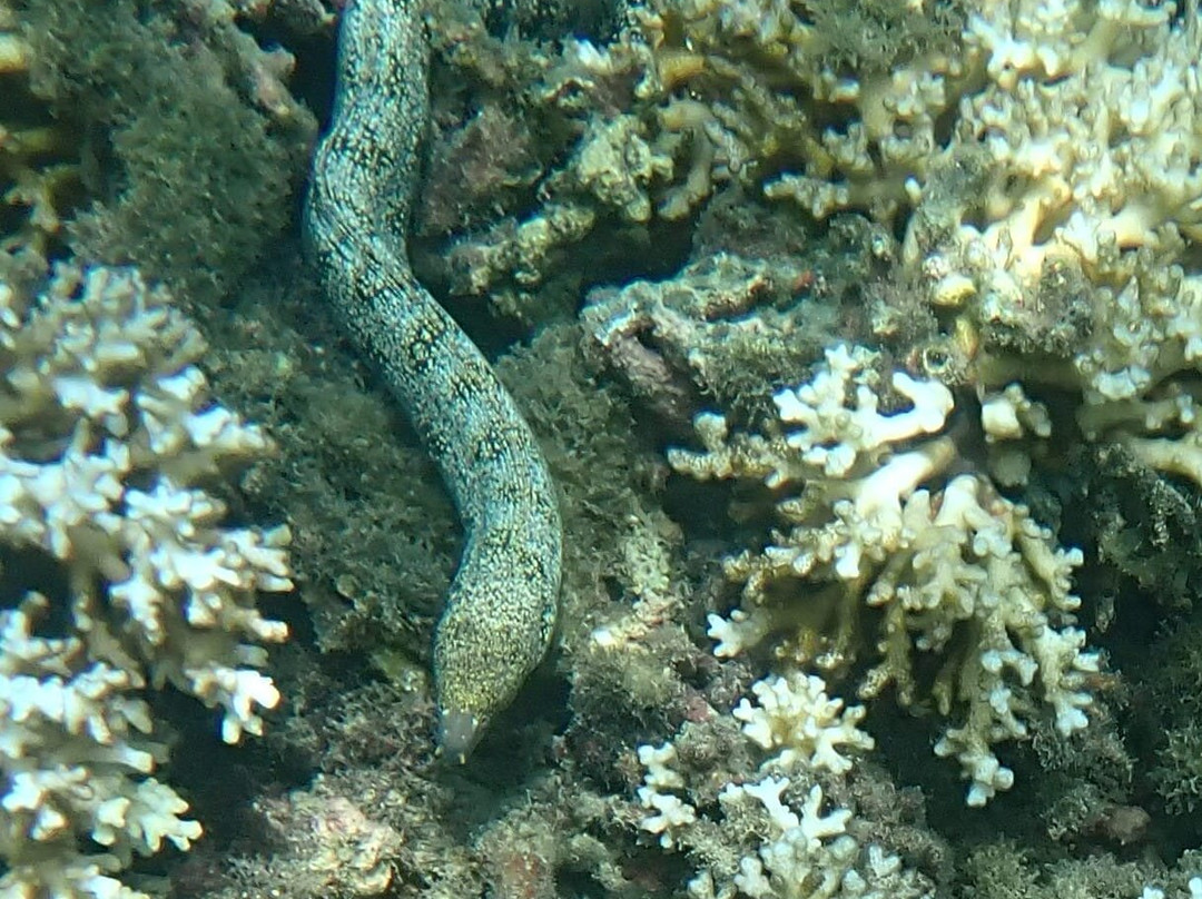 Premier Coiba Tours-Santa Catalina必去景点