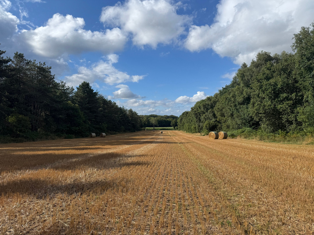 Le Domaine de Kervallon主图