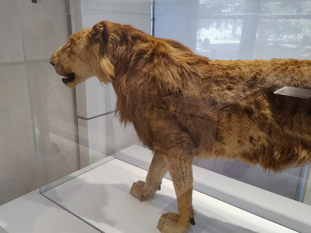 Kosmos - Natural History Museum-帕维亚必去景点
