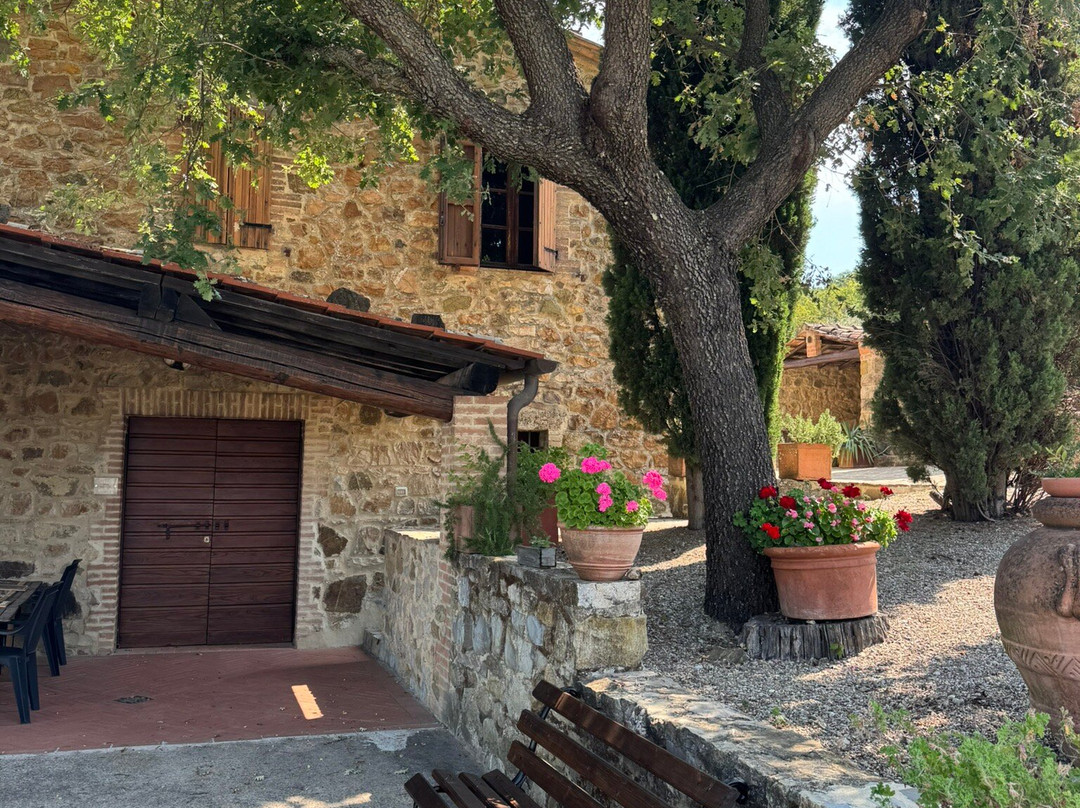 Casanuova delle Cerbaie-蒙塔尔奇诺必去景点