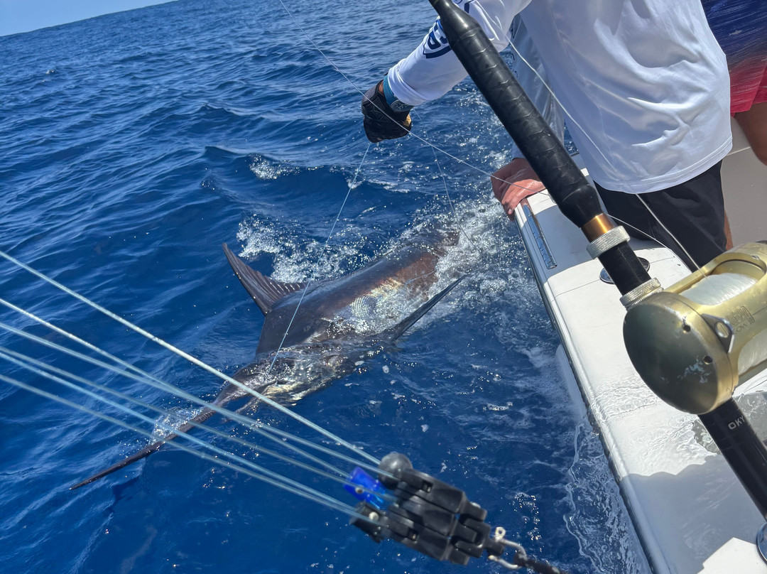 Gamefisher II Costa Rica-Playa Flamingo必去景点
