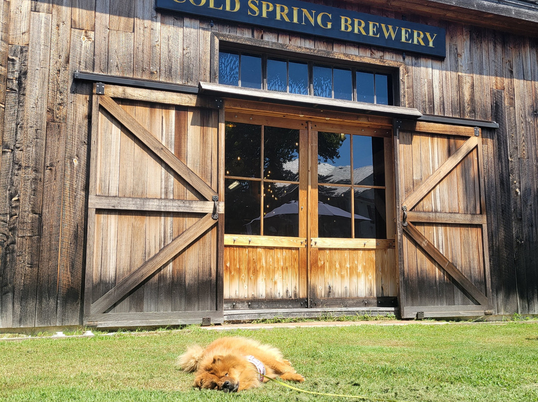 Cold Spring Brewery-Lower Township必去景点