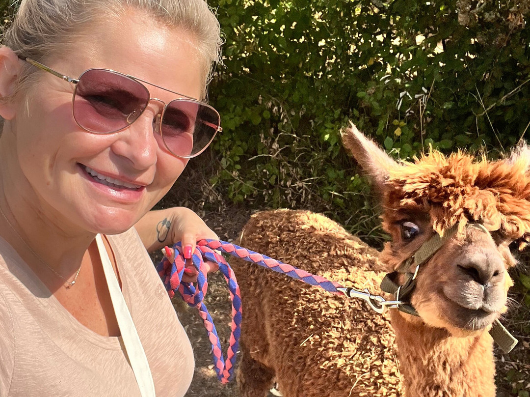 Nana Mac Alpaca Farm-Limalonges必去景点