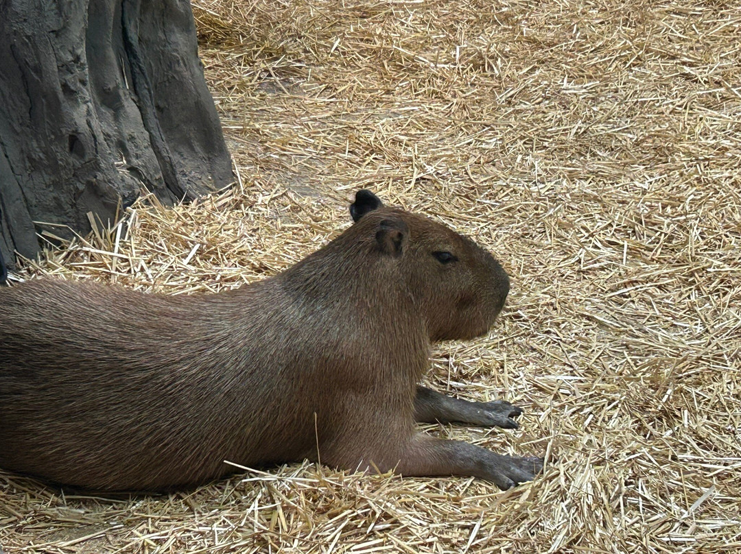 Legasea Aquarium & The Reptarium-Utica必去景点