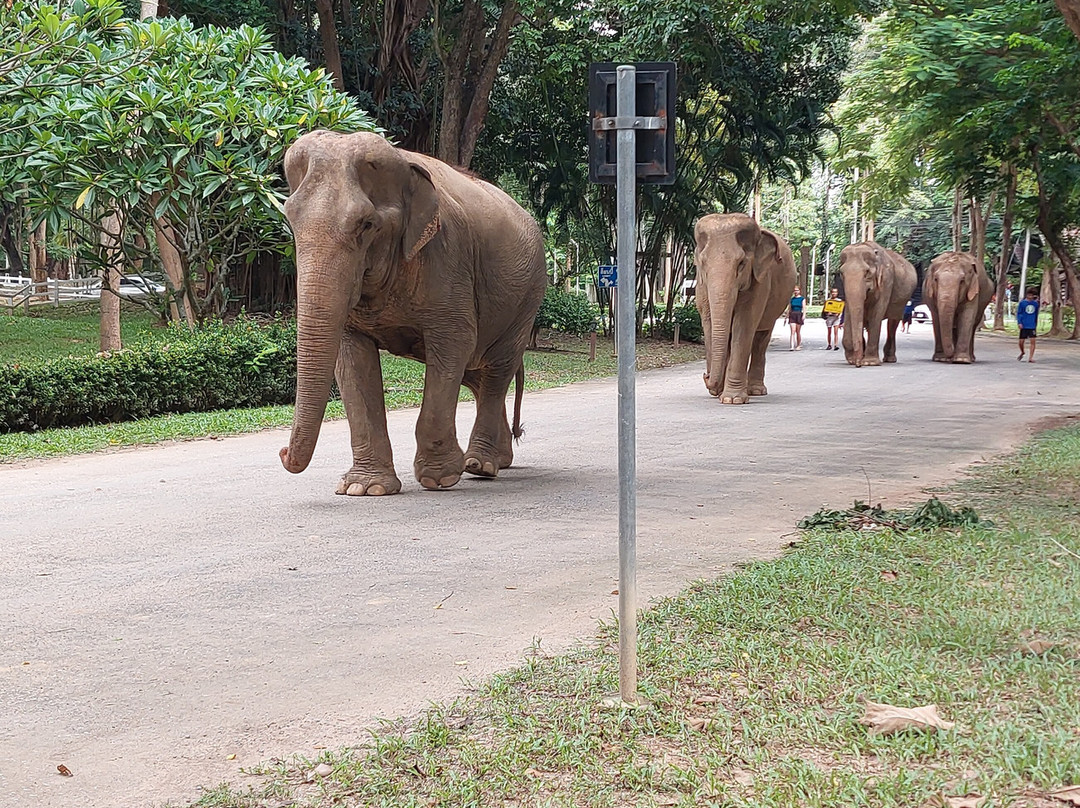 Somboon Legacy Foundation-Klon Do必去景点