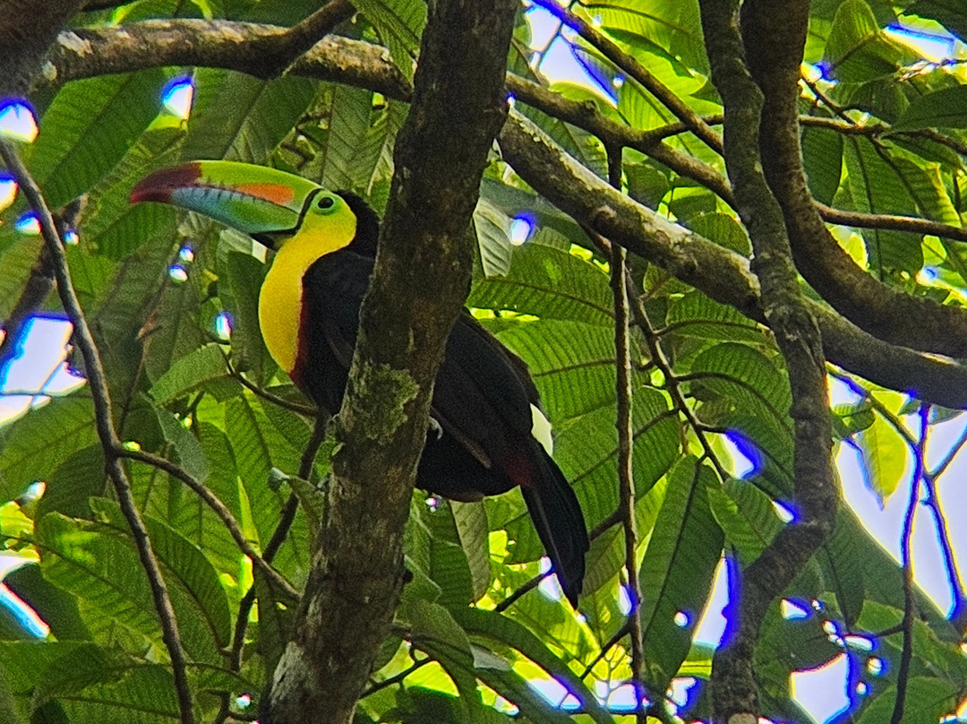 Water And Land Activities-Playa Panama必去景点