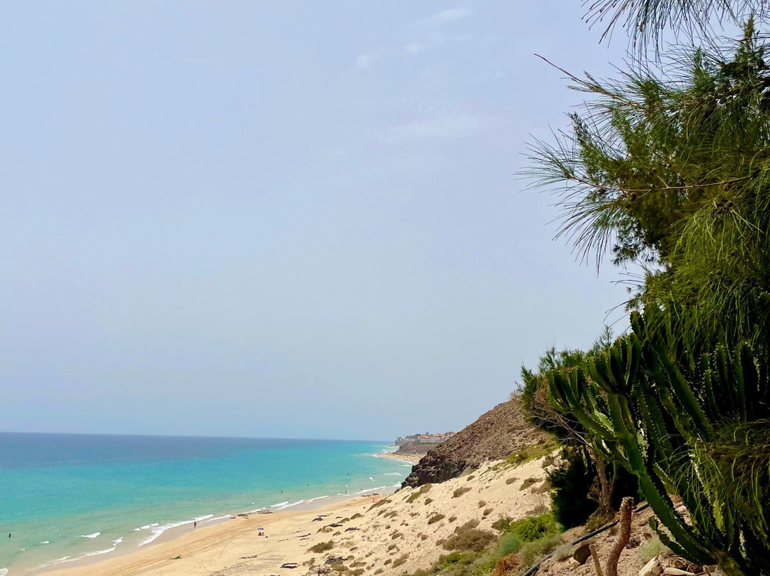 Marina Playa Suites主图