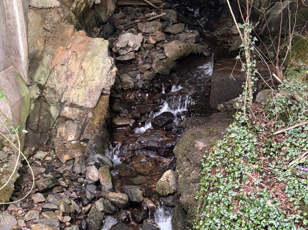 Killiecrankie Visitors Centre-Killiecrankie必去景点