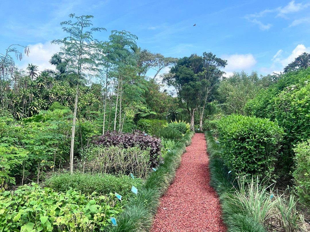 El Arca Jardín Botánico-Santa Barbara必去景点