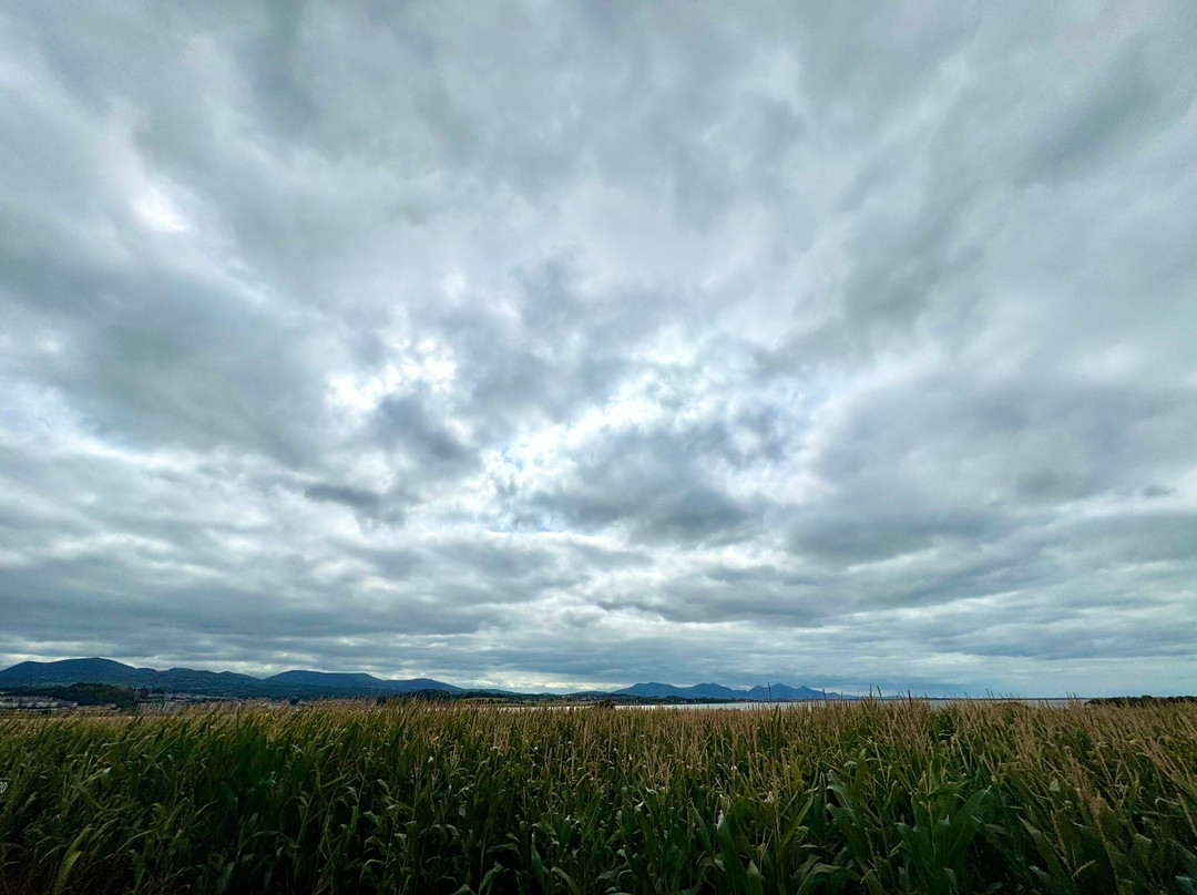 Foel Farm Park-Brynsiencyn必去景点