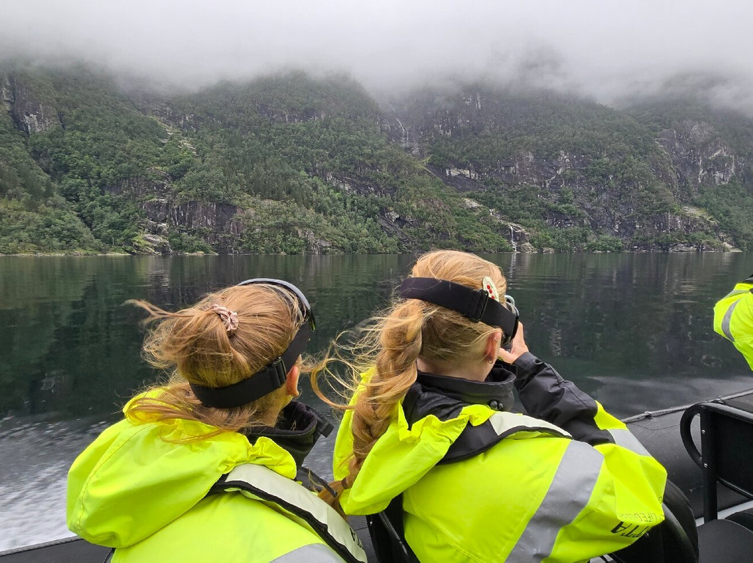 RIB safari Ulvik by Hardangerfjord Adventure-Ulvik必去景点