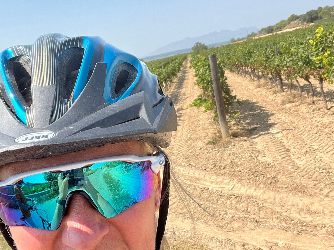 B&B Wine and Cooking Penedès主图