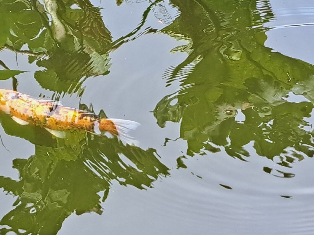 Jardin Botanique-Bayonne必去景点