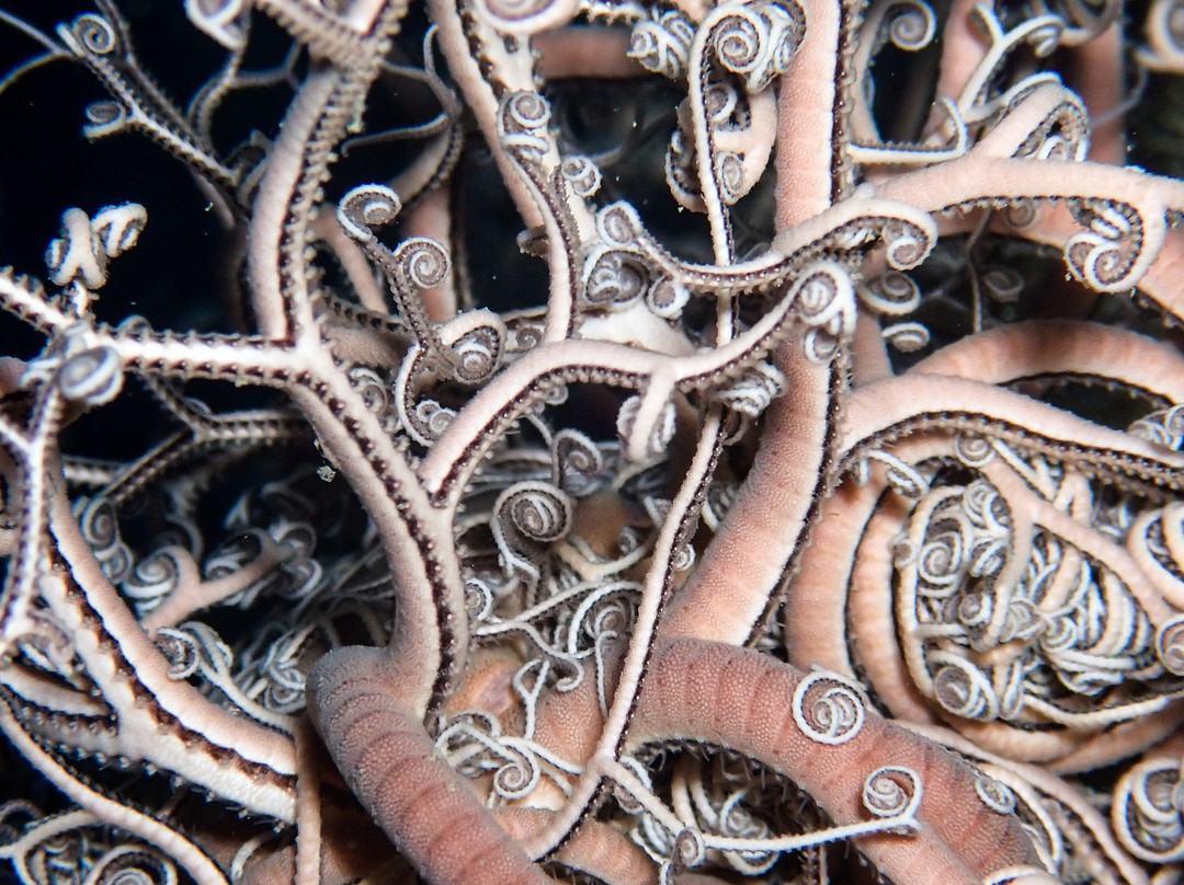 Centre d'Immersio Cap de Creus-Llanca必去景点