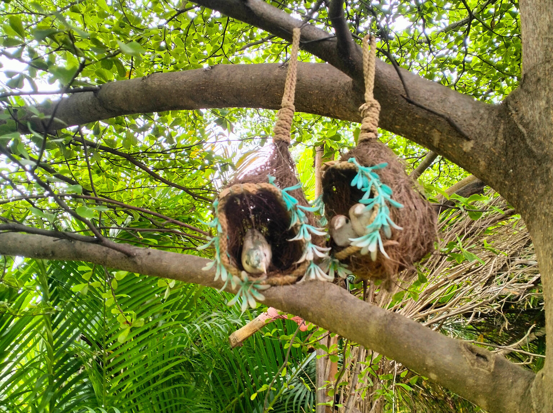 The Pench International's Jungle Water Park主图