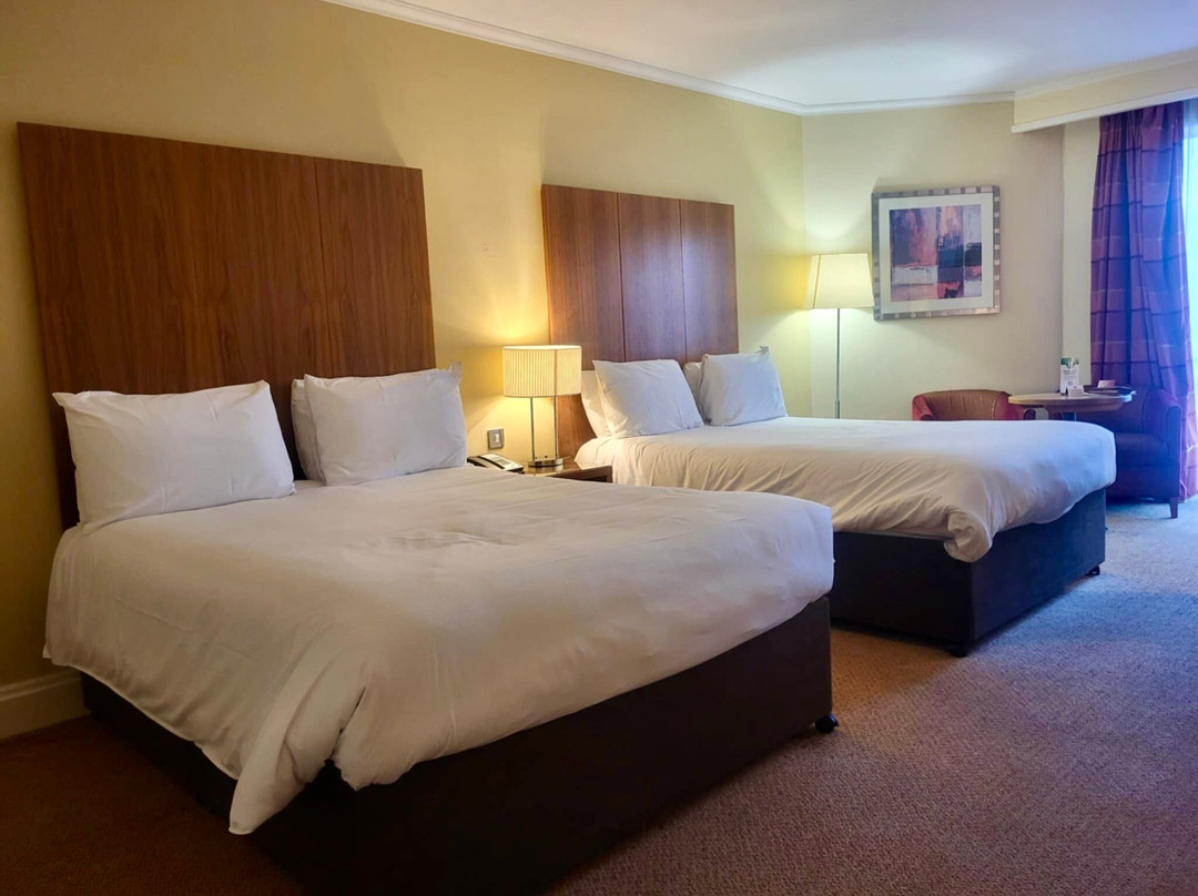 梅德斯通希尔顿酒店主图