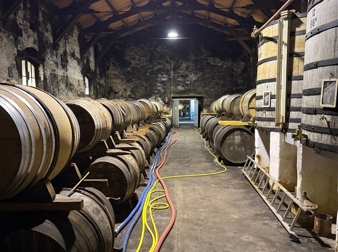 Cognac J. Normandin-Mercier-Dompierre sur Mer必去景点