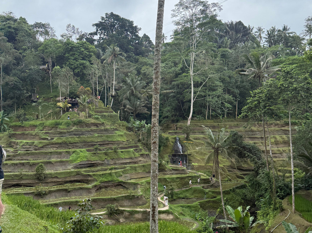 Bali Unique Driver-巴厘岛必去景点