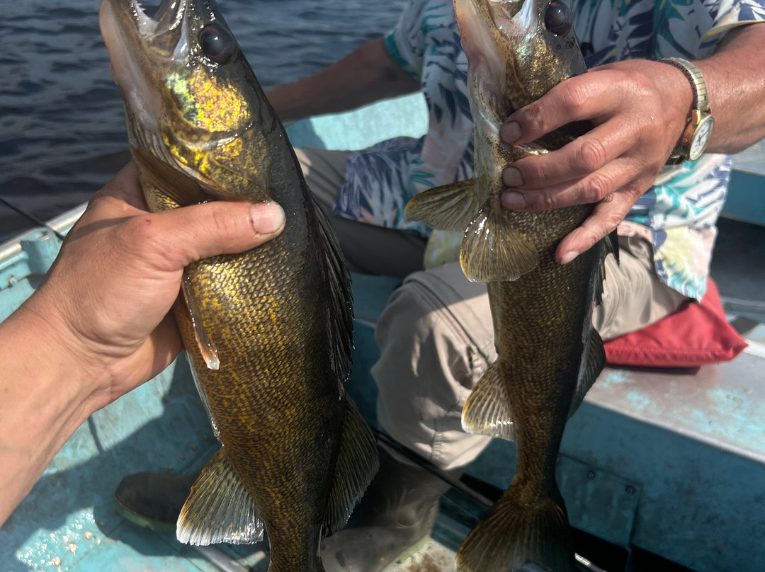 Cochrane Air Services-Cochrane必去景点