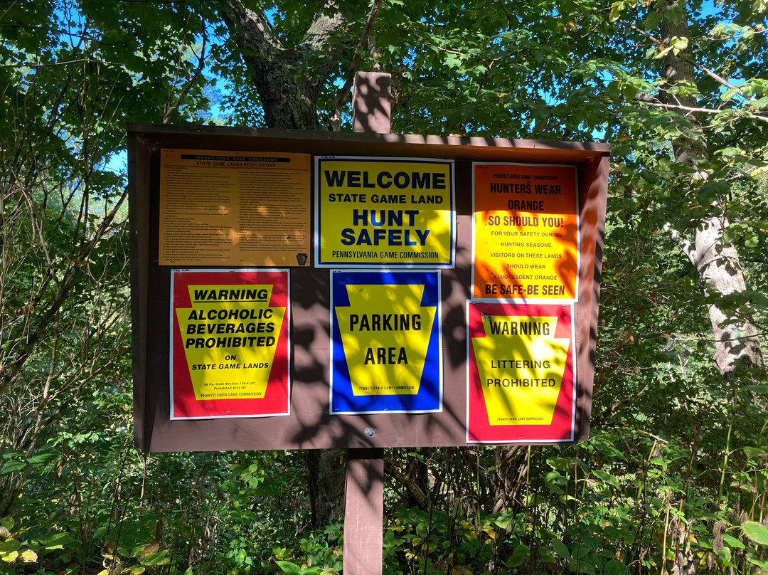 Tanner Falls-洪斯代尔必去景点