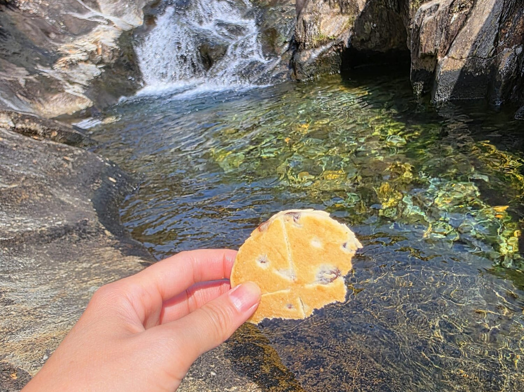 艾伯康威别墅酒店主图