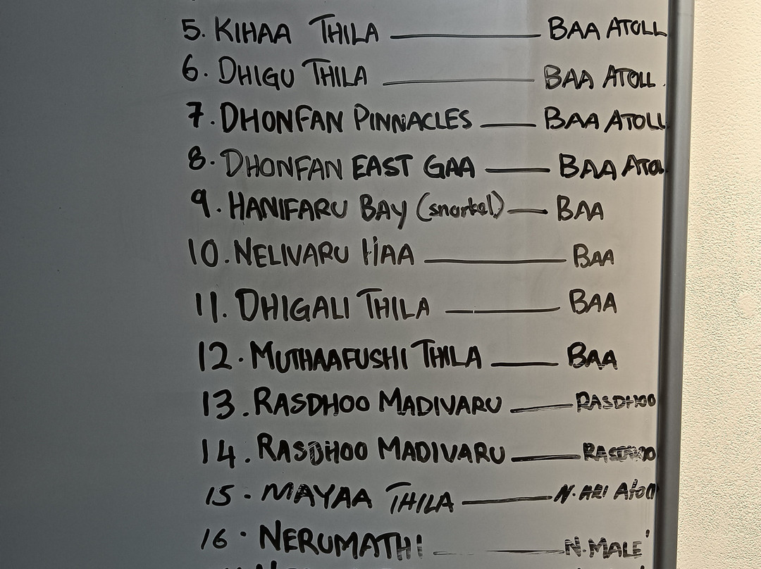 Blue Horizon-马累必去景点