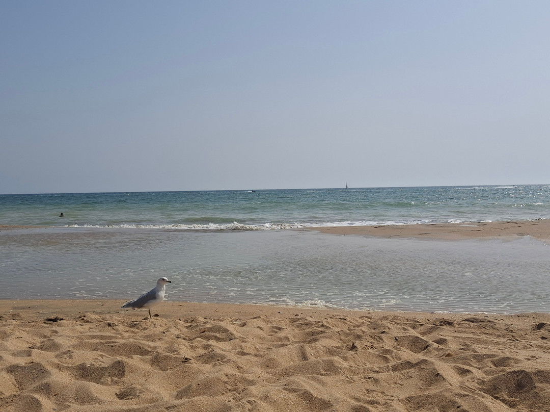 Playa de Punta Umbria-Punta Umbria必去景点