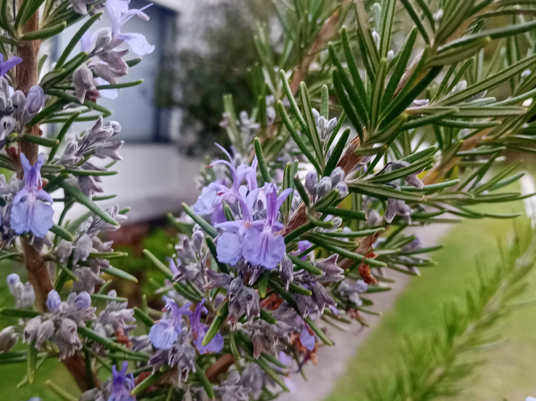 Hotel Colonial Colsubsidio主图