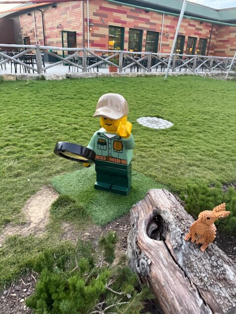 Legoland Feriendorf-官方