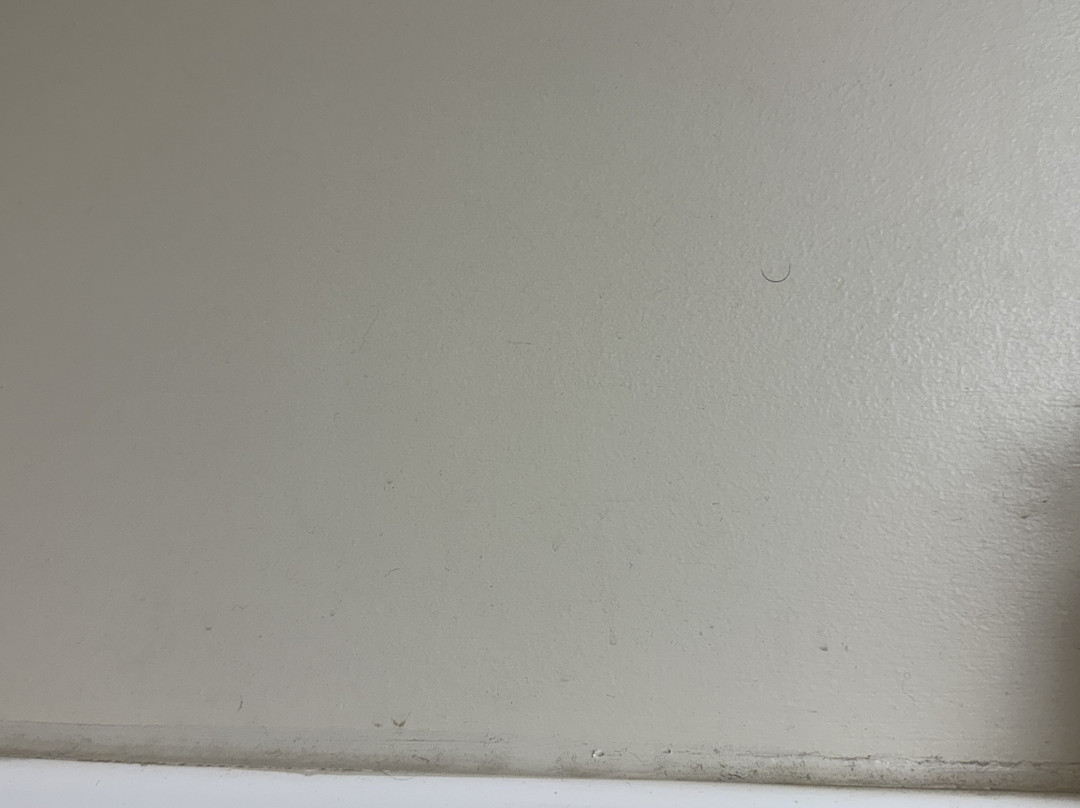 Coos Motor Inn主图