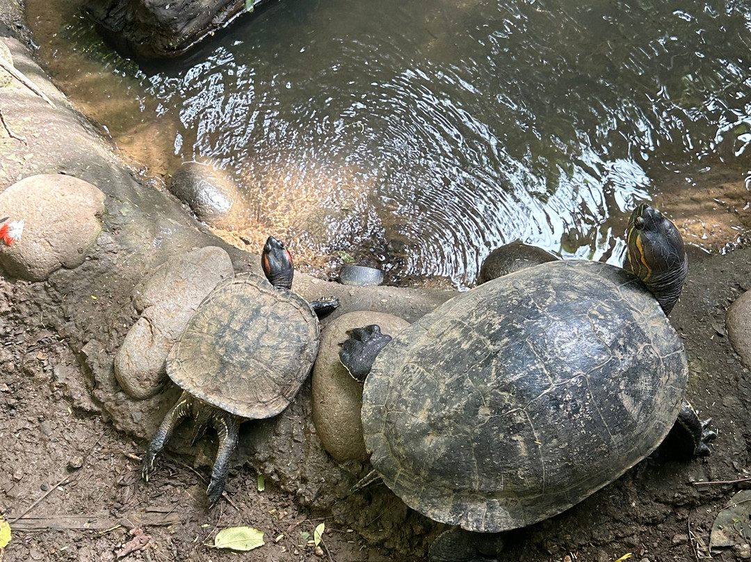Centro de Rescate Las Pumas-Canas必去景点