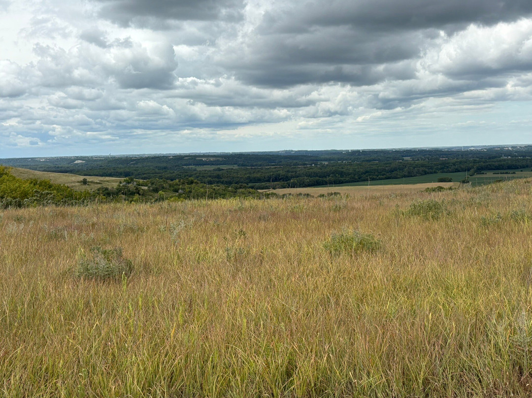 Konza Prairie Biological Station-曼哈顿必去景点