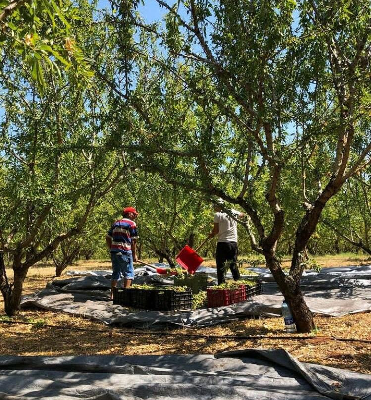 Gea Olympou-Plaka必去景点