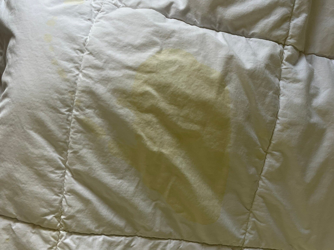 Quality Inn Selma - Smithfield主图