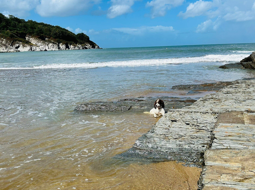 Aberporth Beach-Aberporth必去景点
