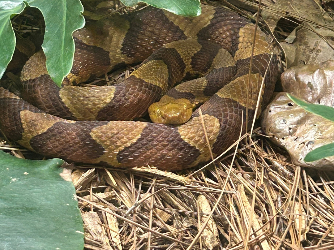 Greenville Zoo-格林维尔必去景点