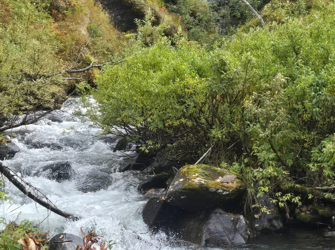 Snowhook Adventure Guides of Alaska-Willow必去景点