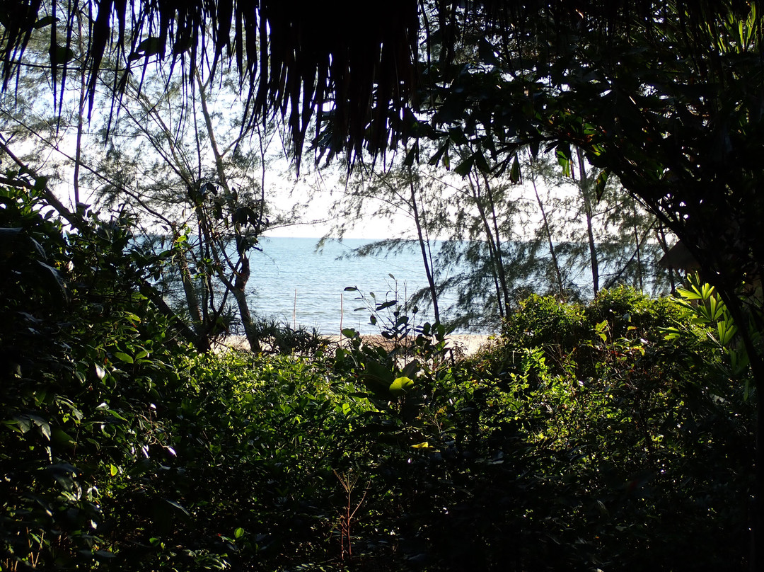 Kactus - The Hidden Treehouse主图