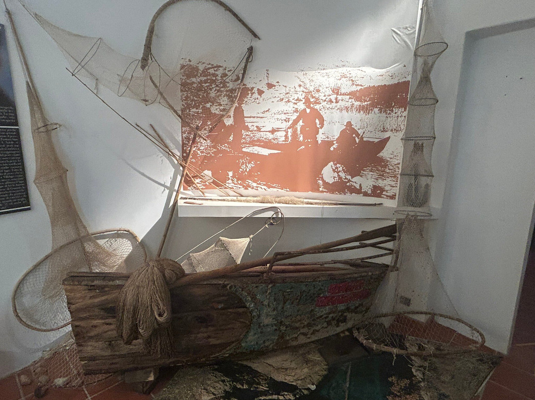 Museo delle Arti e Tradizioni Popolari - Vecchio Municipio