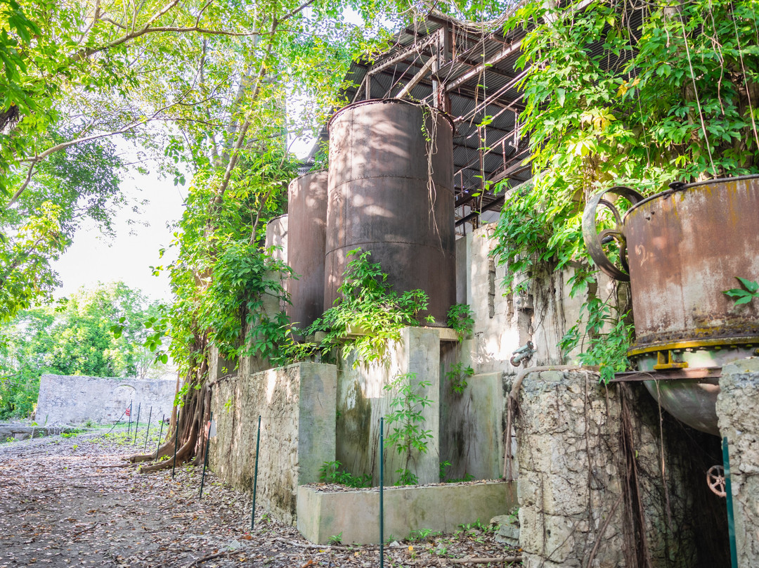 Habitation Néron-Le Moule必去景点