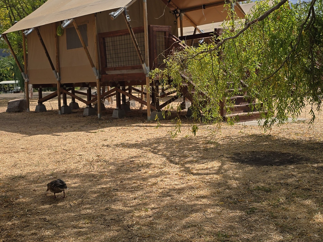 Clear Lake-克利尔湖必去景点