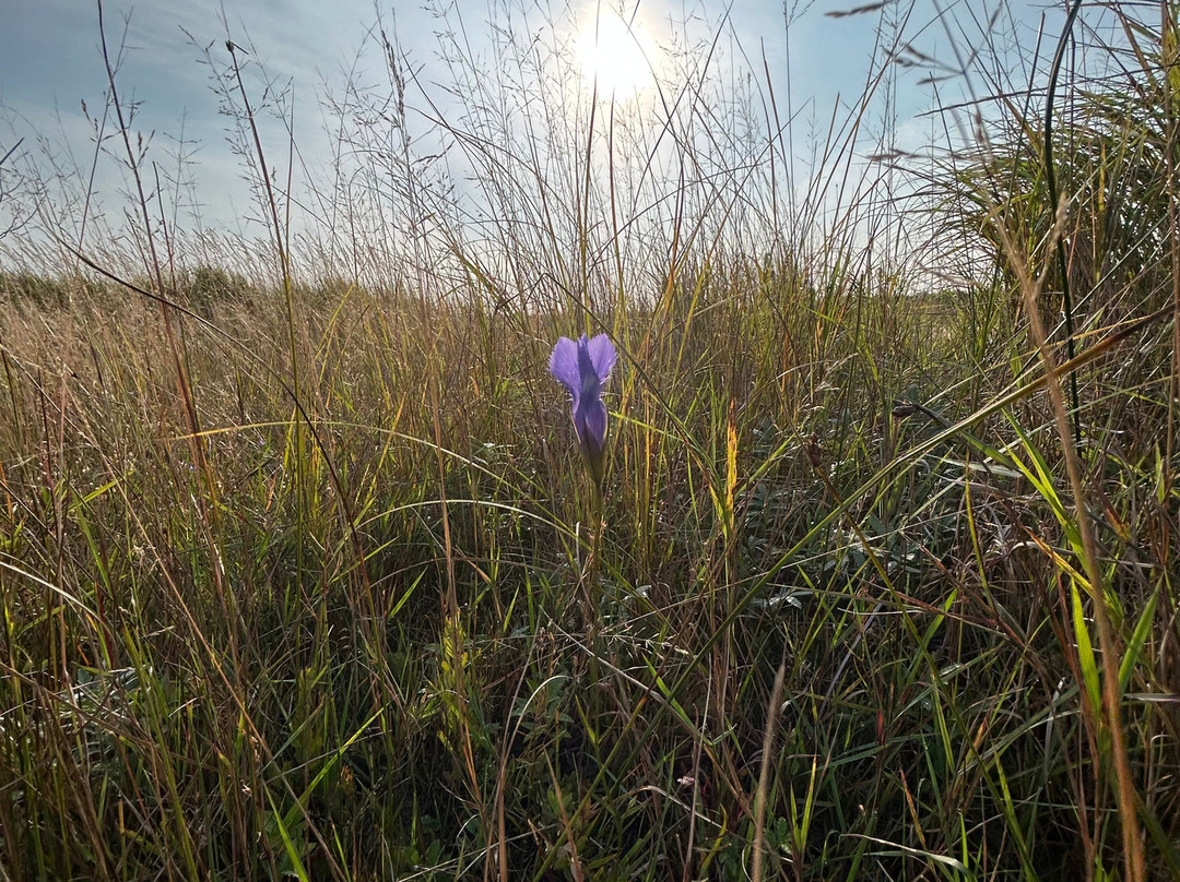 Jackson Harbor Inn主图