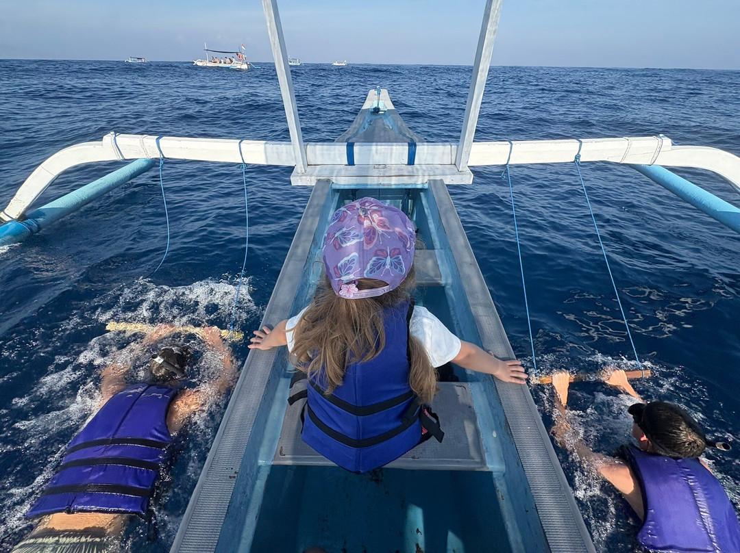 Dolphin Watching Lovina-Anturan必去景点