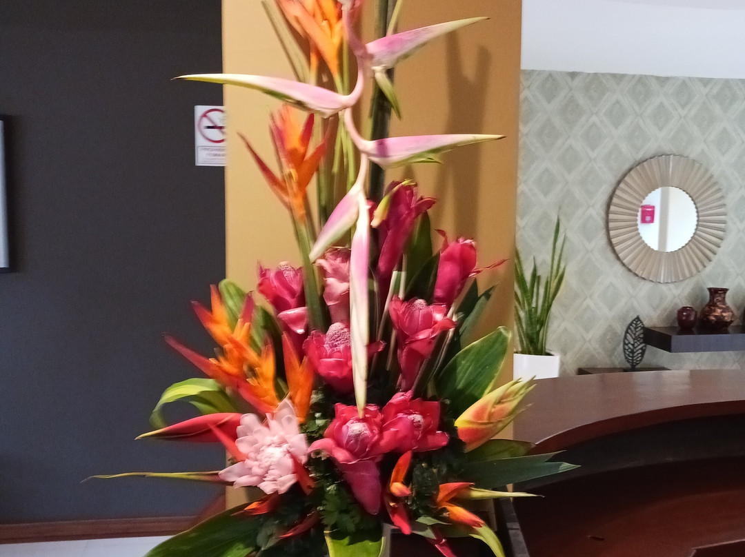 埃尔多拉多经典酒店主图