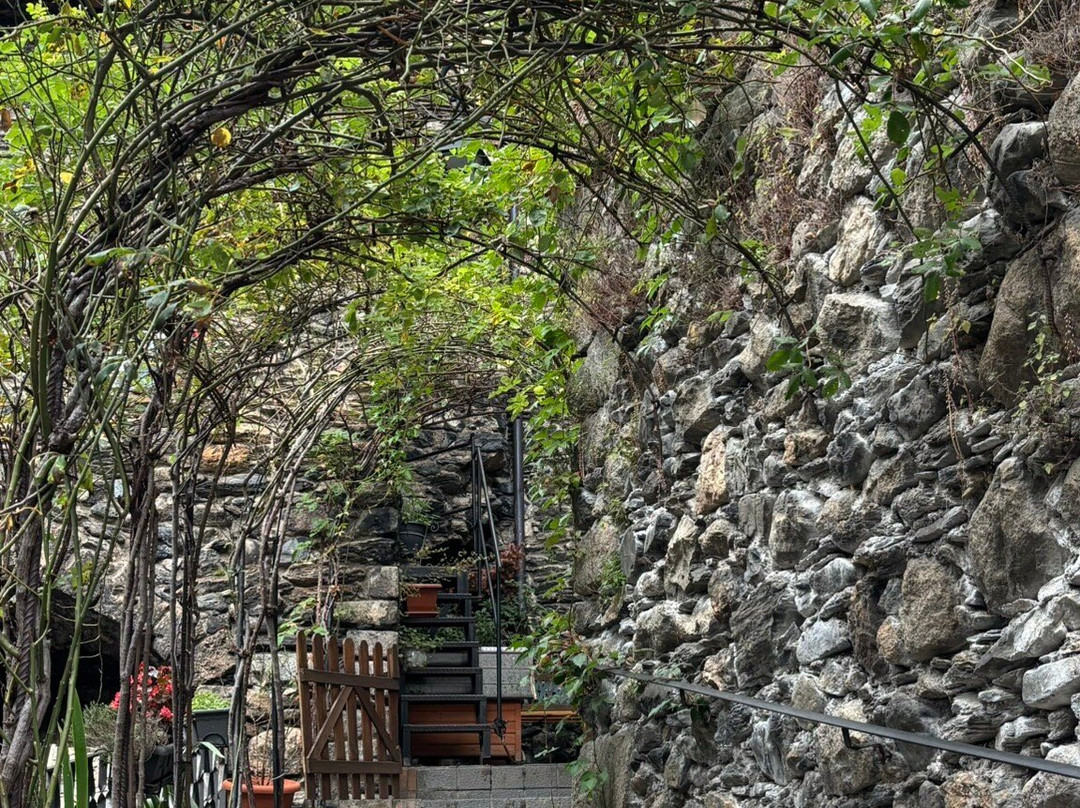 Sant Joan de Boí-Vall de Boi必去景点