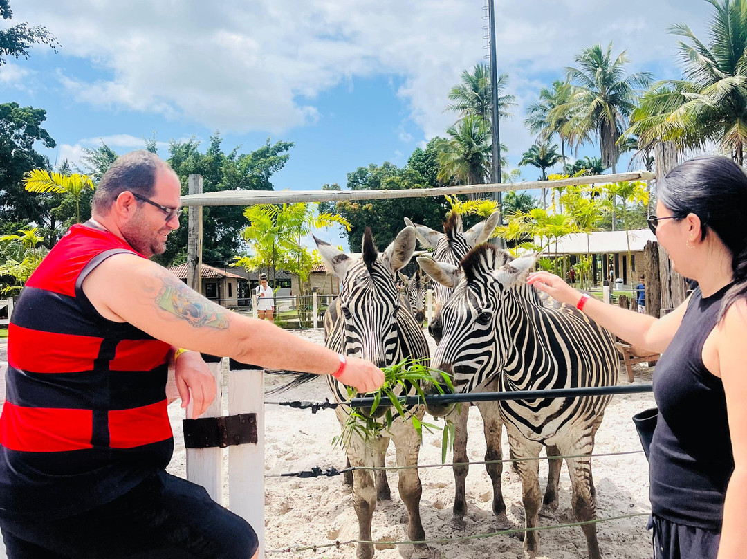 Boaluz Park-Laranjeiras必去景点